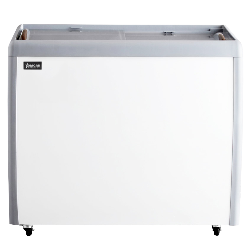 Congélateur commercial Omcan 39 po – 270 L – 46493